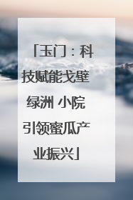 玉门：科技赋能戈壁绿洲 小院引领蜜瓜产业振兴