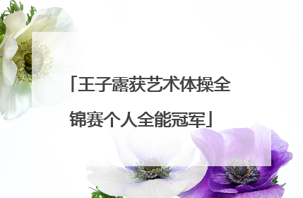 王子露获艺术体操全锦赛个人全能冠军