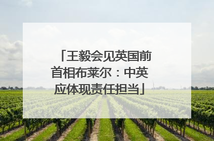 王毅会见英国前首相布莱尔：中英应体现责任担当