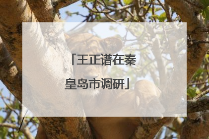 王正谱在秦皇岛市调研