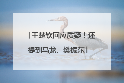 王楚钦回应质疑！还提到马龙、樊振东