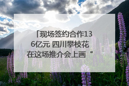 现场签约合作136亿元 四川攀枝花在这场推介会上画“图谱”列“清单”