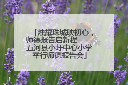 烛耀珠城映初心，师德报告启新程——五河县小圩中心小学举行师德报告会
