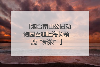 烟台南山公园动物园喜迎上海长颈鹿“新娘”