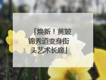 焕新！黄陂锦秀道变身街头艺术长廊