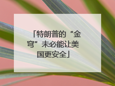 特朗普的“金穹”未必能让美国更安全