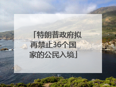 特朗普政府拟再禁止36个国家的公民入境