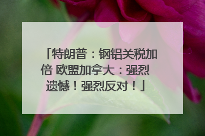 特朗普：钢铝关税加倍 欧盟加拿大：强烈遗憾！强烈反对！