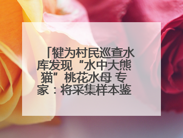 犍为村民巡查水库发现“水中大熊猫”桃花水母 专家：将采集样本鉴定具体种属