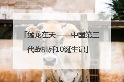 猛龙在天——中国第三代战机歼10诞生记