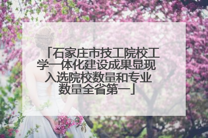 石家庄市技工院校工学一体化建设成果显现 入选院校数量和专业数量全省第一