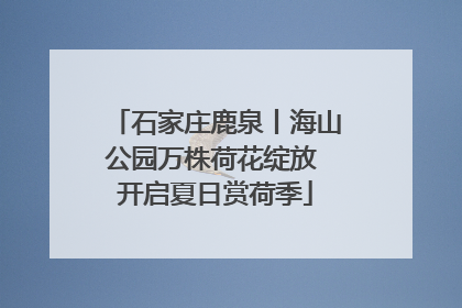 石家庄鹿泉丨海山公园万株荷花绽放 开启夏日赏荷季