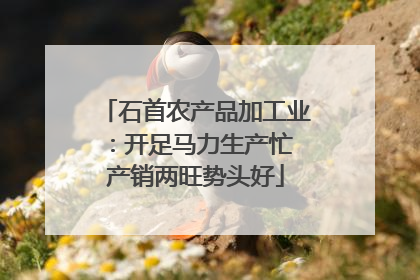 石首农产品加工业：开足马力生产忙 产销两旺势头好