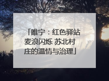睢宁：红色驿站麦浪闪烁 苏北村庄的温情与治理