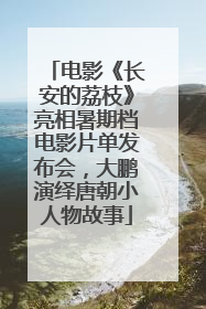 电影《长安的荔枝》亮相暑期档电影片单发布会，大鹏演绎唐朝小人物故事
