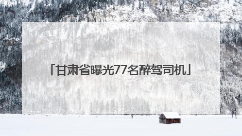 甘肃省曝光77名醉驾司机