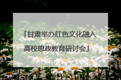 甘肃举办红色文化融入高校思政教育研讨会