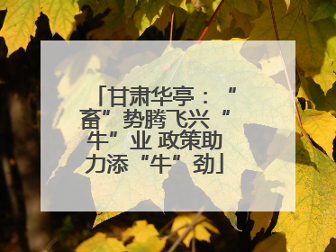 甘肃华亭：“畜”势腾飞兴“牛”业 政策助力添“牛”劲