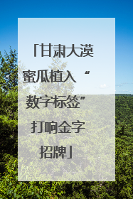甘肃大漠蜜瓜植入“数字标签” 打响金字招牌