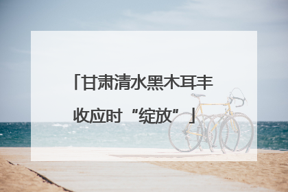 甘肃清水黑木耳丰收应时“绽放”