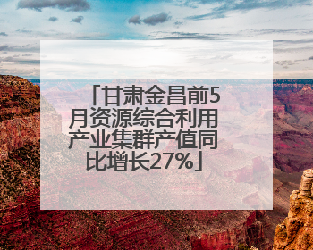 甘肃金昌前5月资源综合利用产业集群产值同比增长27%