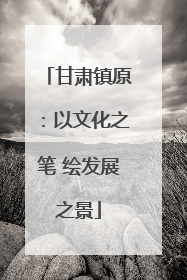 甘肃镇原：以文化之笔 绘发展之景