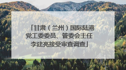 甘肃（兰州）国际陆港党工委委员、管委会主任李建亮接受审查调查