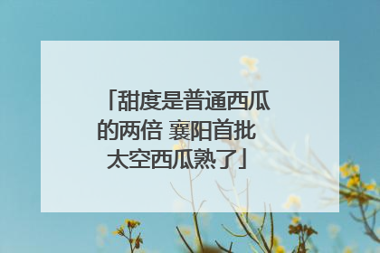 甜度是普通西瓜的两倍 襄阳首批太空西瓜熟了