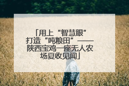 用上“智慧眼” 打造“吨粮田”——陕西宝鸡一座无人农场夏收见闻