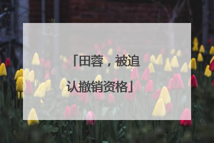 田蓉，被追认撤销资格