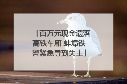 百万元现金遗落高铁车厢 蚌埠铁警紧急寻到失主