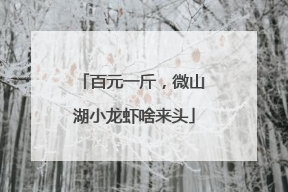 百元一斤，微山湖小龙虾啥来头