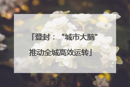 登封：“城市大脑”推动全城高效运转