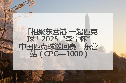 相聚东营港 一起匹克球！2025“李宁杯”中国匹克球巡回赛—东营站（CPC—1000）暨“好运山东”黄河口匹克球公开赛落幕