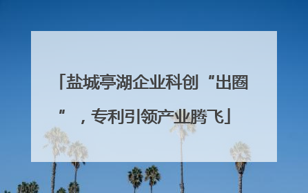 盐城亭湖企业科创“出圈”，专利引领产业腾飞