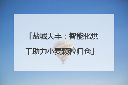 盐城大丰：智能化烘干助力小麦颗粒归仓