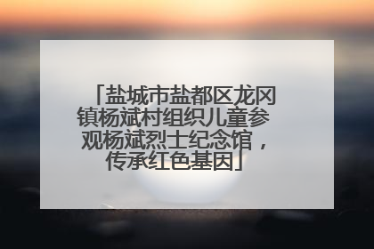 盐城市盐都区龙冈镇杨斌村组织儿童参观杨斌烈士纪念馆，传承红色基因
