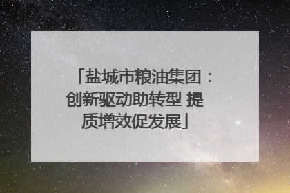 盐城市粮油集团：创新驱动助转型 提质增效促发展