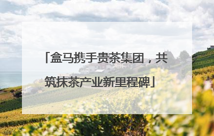 盒马携手贵茶集团，共筑抹茶产业新里程碑