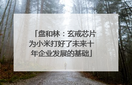 盘和林：玄戒芯片为小米打好了未来十年企业发展的基础