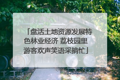 盘活土地资源发展特色林业经济 荔枝园里游客欢声笑语采摘忙