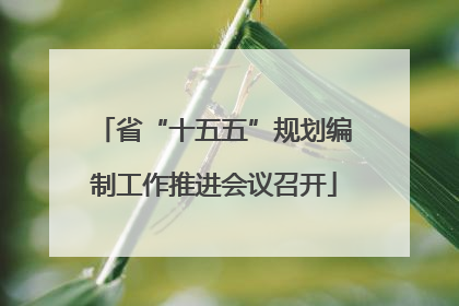 省“十五五”规划编制工作推进会议召开