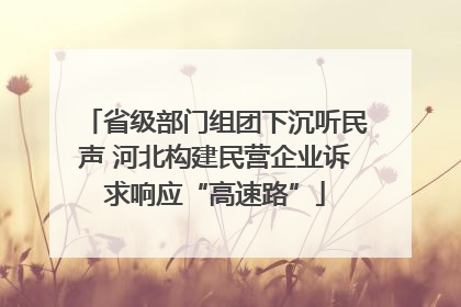 省级部门组团下沉听民声 河北构建民营企业诉求响应“高速路”
