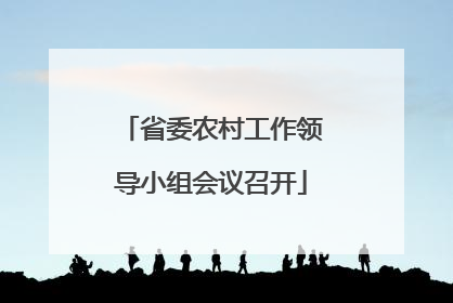 省委农村工作领导小组会议召开