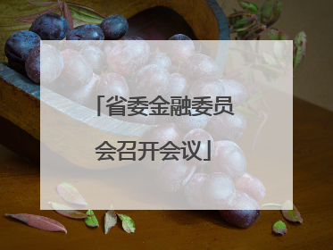 省委金融委员会召开会议