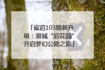 省道103焕新升级：泉城“后花园”开启梦幻公路之旅