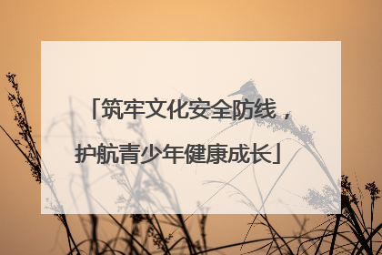 筑牢文化安全防线，护航青少年健康成长
