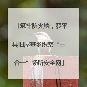 筑牢防火墙，罗平县旧屋基乡织密“三合一”场所安全网