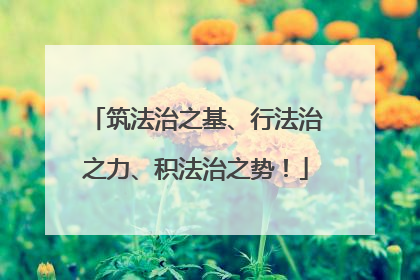 筑法治之基、行法治之力、积法治之势！
