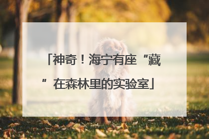 神奇！海宁有座“藏”在森林里的实验室